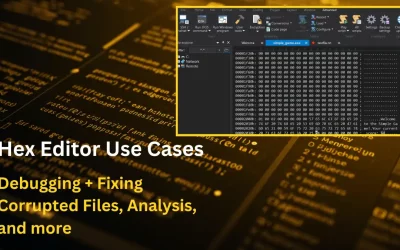 Depuración + reparación de archivos dañados, análisis y otros casos de uso del editor hexadecimal