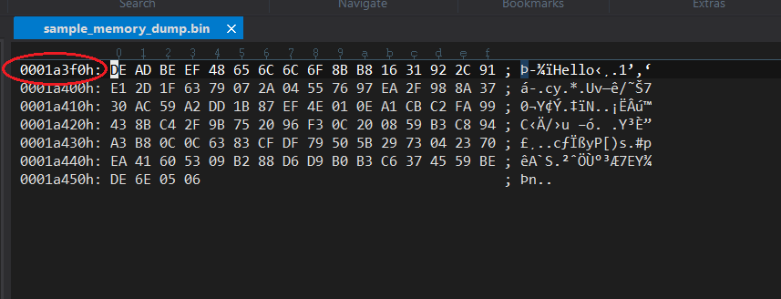 Hex view of the specified memory segment