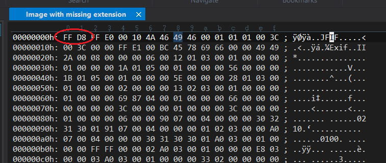 Image with missing extension opened in hex editor