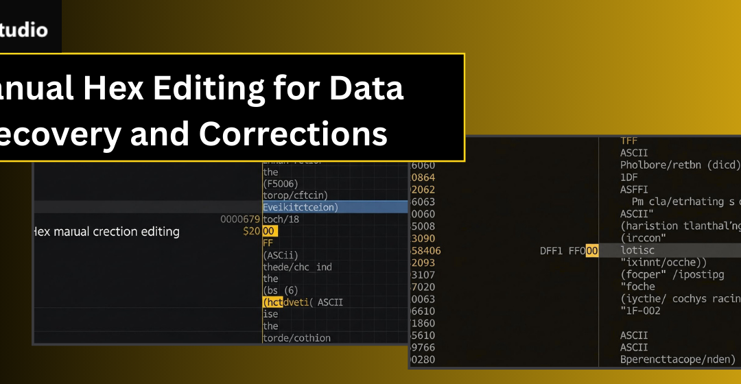 Manual Hex Editing for Data Recovery and Corrections