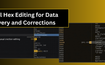 Manual Hex Editing for Data Recovery and Corrections
