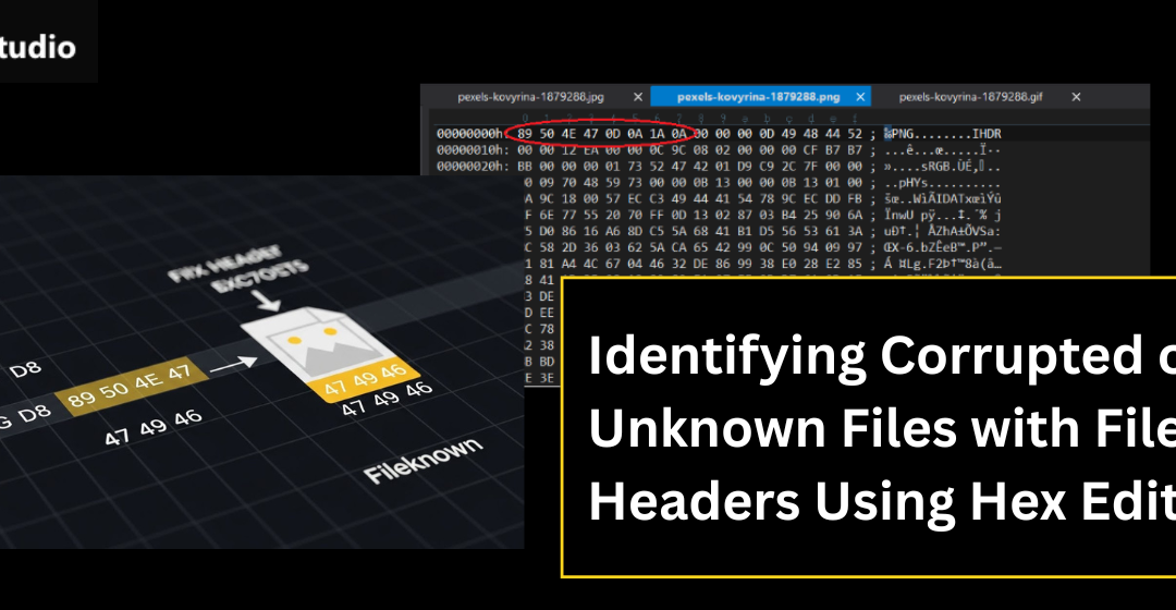 Identifying Corrupted or Unknown Files with File Headers Using Hex Editors