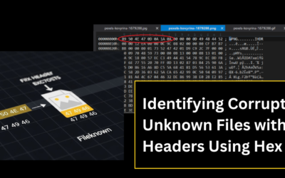 Identifying Corrupted or Unknown Files with File Headers Using Hex Editors